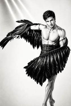 Cigno - 33-38 cm - nero